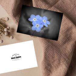 Pack of 2 A5 Forget Me Not Flowers Blank Cards with envelopes