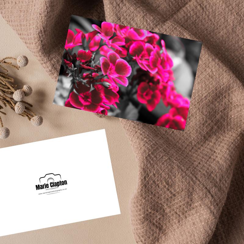 Pack of 2 A5 Pink Flowers Blank Cards with envelopes