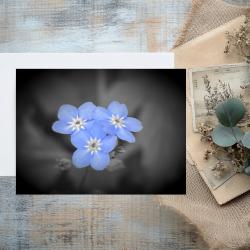 Pack of 2 A5 Forget Me Not Flowers Blank Cards with envelopes