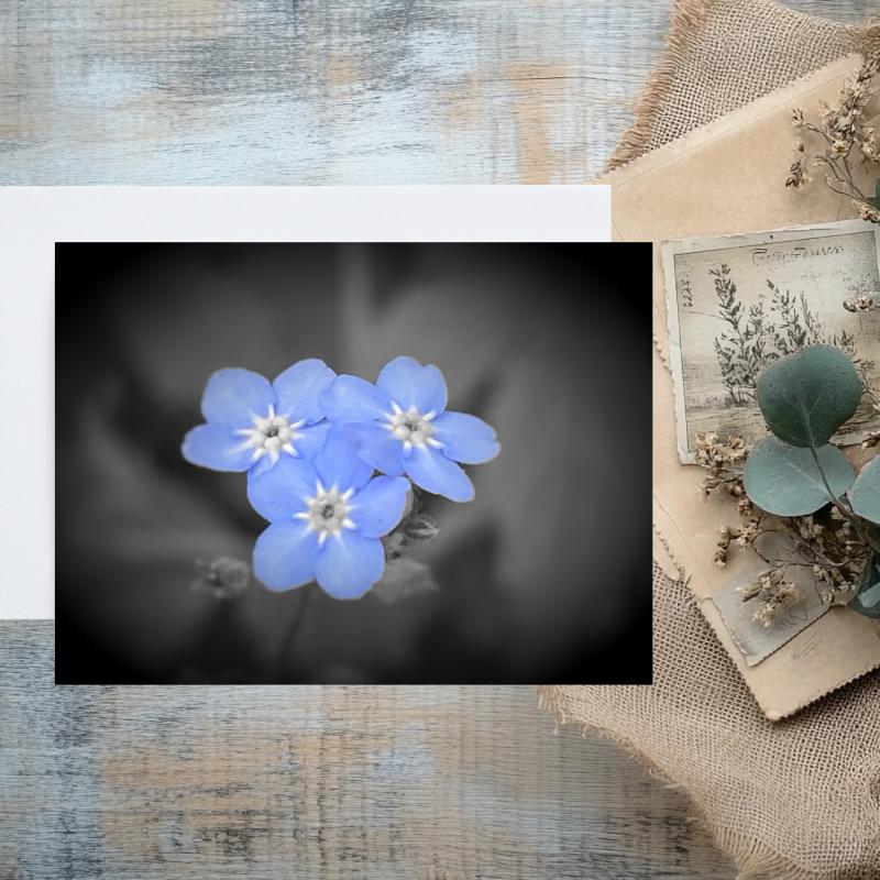 Pack of 2 A5 Forget Me Not Flowers Blank Cards with envelopes