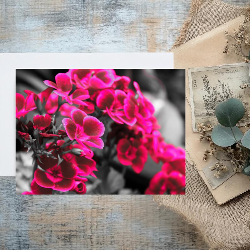 Pack of 2 A5 Pink Flowers Blank Cards with envelopes