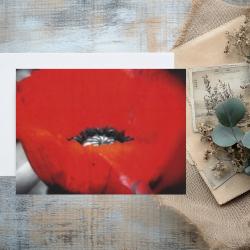 Pack of 2 A6 Poppy Flower Blank Cards with envelopes