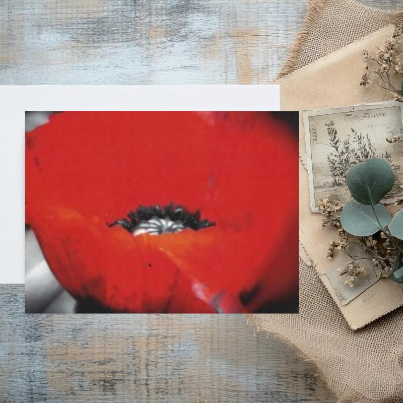 Pack of 2 A6 Poppy Flower Blank Cards with envelopes