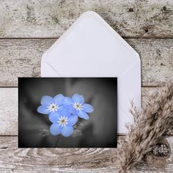 A5 Forget Me Not Flowers Blank Greeting Cards with envelopes