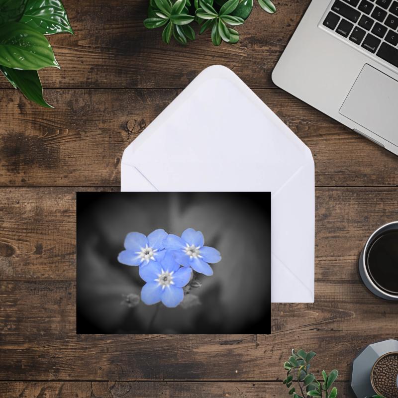 Pack of 2 A5 Forget Me Not Flowers Blank Cards with envelopes