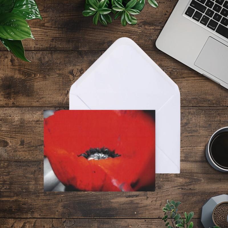 Pack of 2 A6 Poppy Flower Blank Cards with envelopes