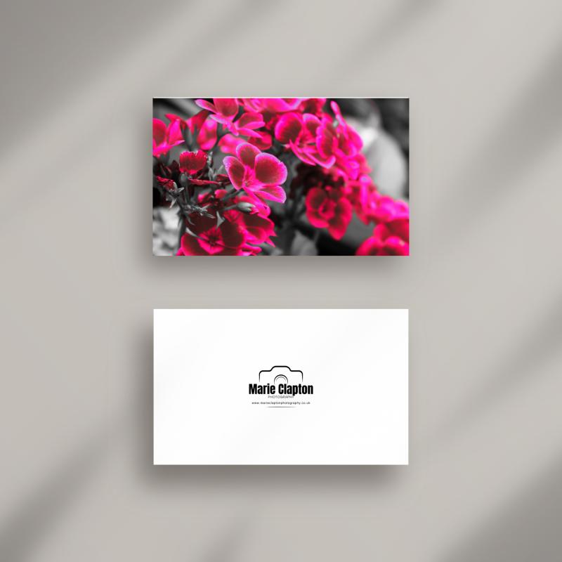 A5 Pink Flower Blank Greeting Card with envelope