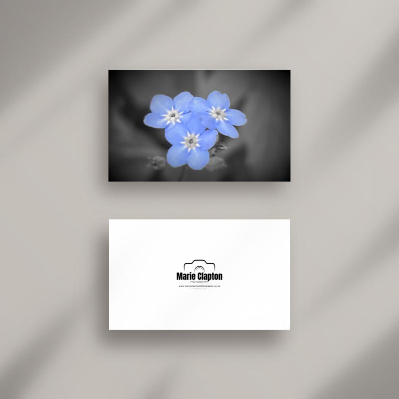 A5 Forget Me Not Flower Blank Greeting Card with envelope