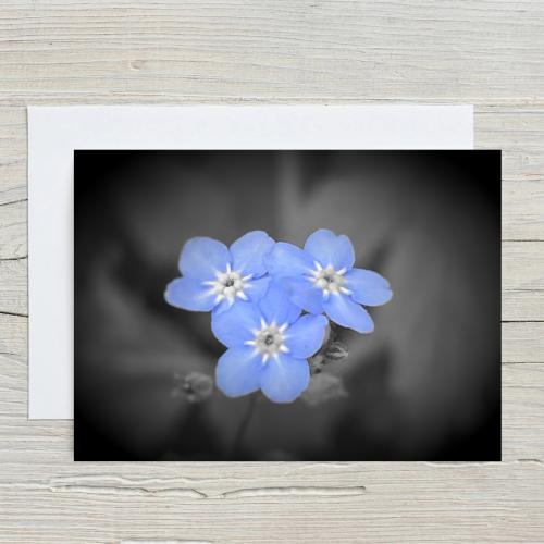 A5 Forget Me Not Flowers Blank Greeting Cards with envelopes