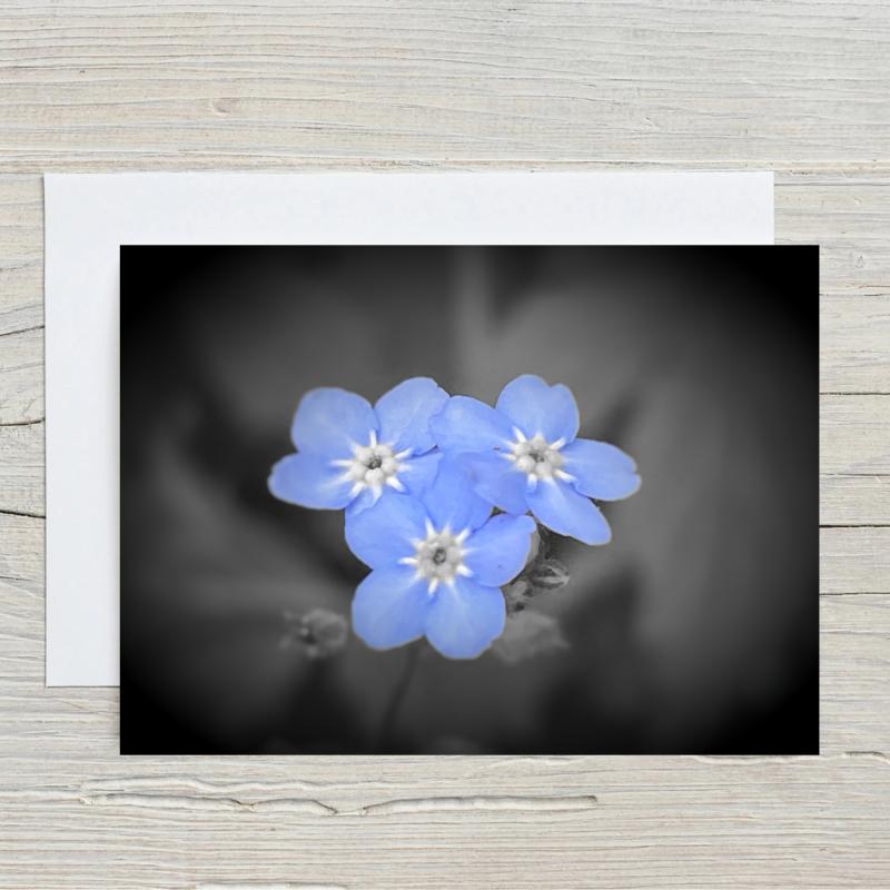 A5 Forget Me Not Flowers Blank Greeting Cards with envelopes