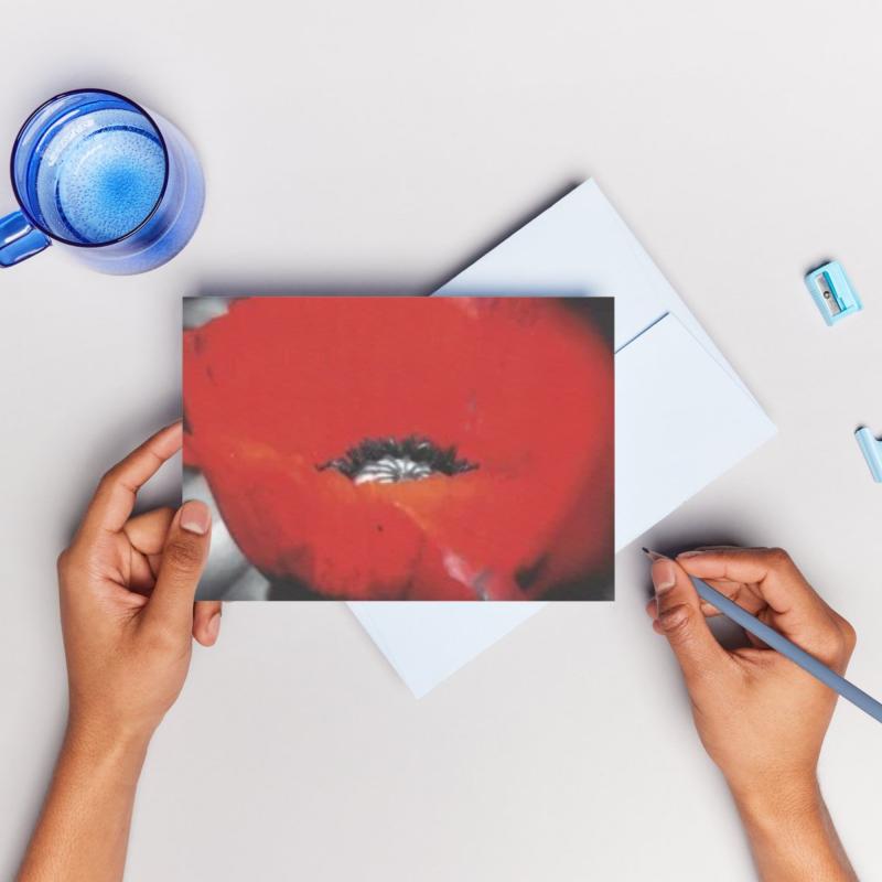 Pack of 2 A6 Poppy Flower Blank Cards with envelopes
