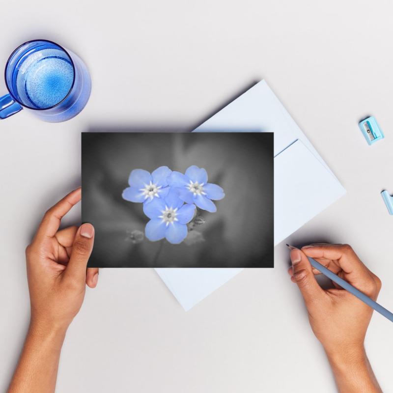 Pack of 2 A5 Forget Me Not Flowers Blank Cards with envelopes