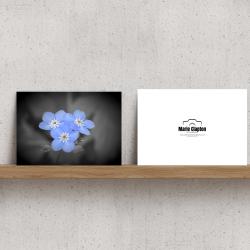 Pack of 2 A5 Forget Me Not Flowers Blank Cards with envelopes