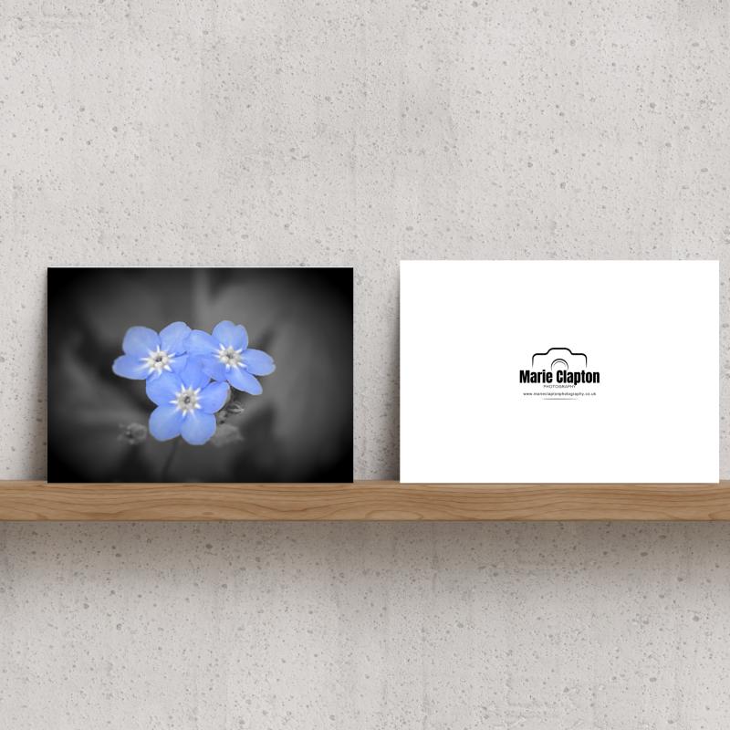 Pack of 2 A5 Forget Me Not Flowers Blank Cards with envelopes
