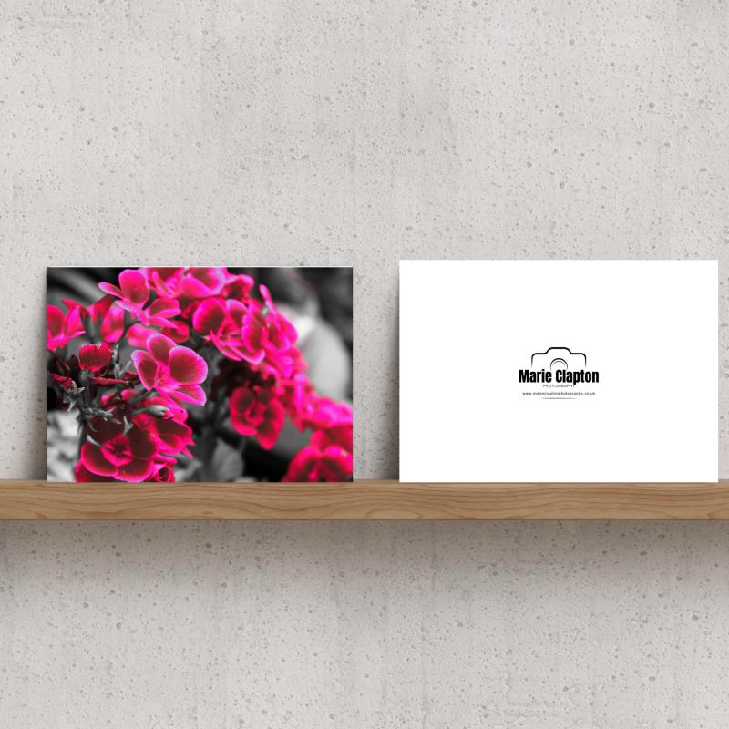 Pack of 2 A5 Pink Flowers Blank Cards with envelopes