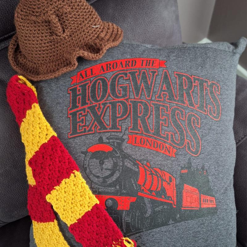 Keepsake T Shirt Cushion made from your favourite t shirt