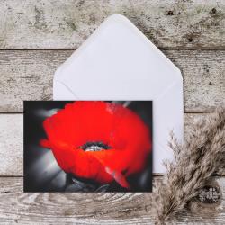 Single Poppy Blank Greeting Card with envelope