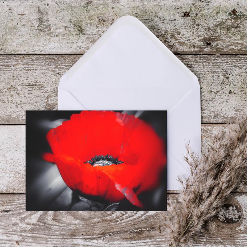 Single Poppy Blank Greeting Card with envelope
