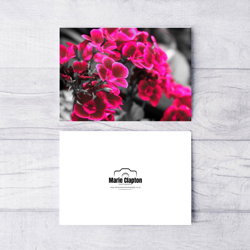 Single A5 Pink Flower Blank Greeting Card with envelopes