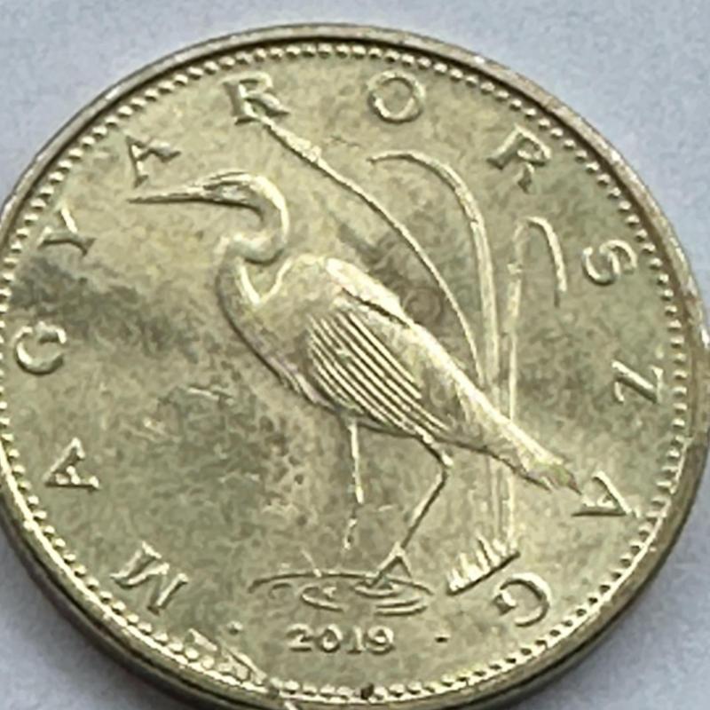 Hungary 5 Forint 2019 Crane Bird Great White Egret