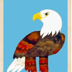 Bald Eagle Postcard From The Wooden Postcard Company