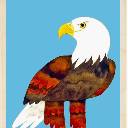 Bald Eagle Postcard From The Wooden Postcard Company