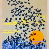 Starlings Postcard From The Wooden Postcard Company