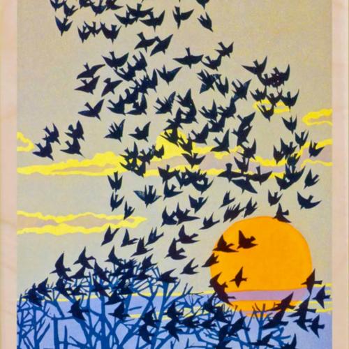 Starlings Postcard From The Wooden Postcard Company