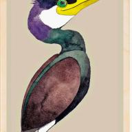 Cormorant Postcard From The Wooden Postcard Company