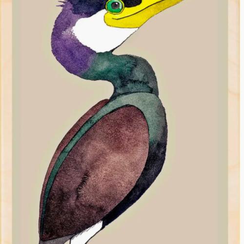 Cormorant Postcard From The Wooden Postcard Company