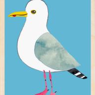 Herring Gull Postcard From The Wooden Postcard Company