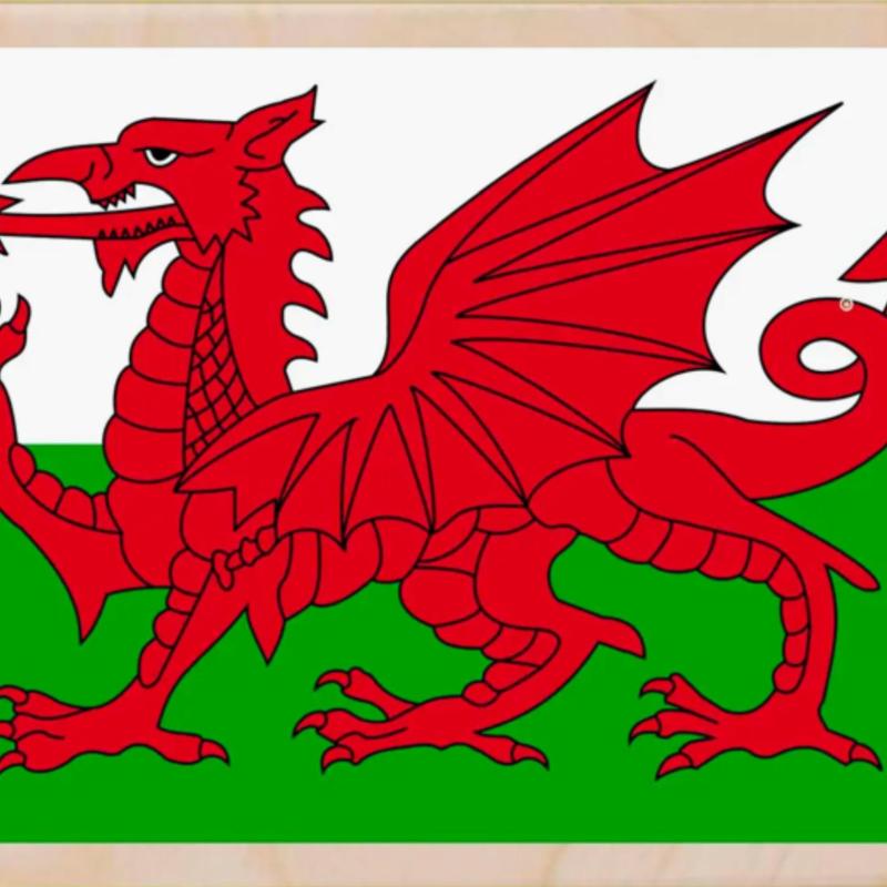 Wales Welsh Red Dragon Y Ddraig Goch Postcard From The Wooden Postcard Company