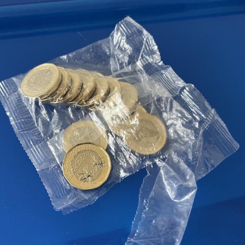 2023 £1 BEES - taken from sealed bag - King Charles