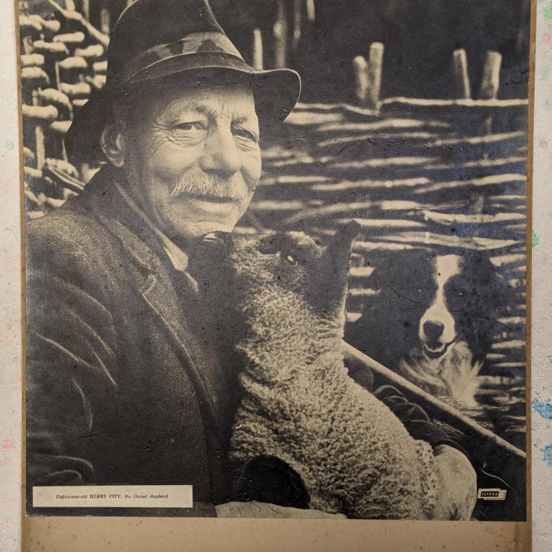 Harry Pitt -Original Art Photograph (16x20 inches) shelf 302