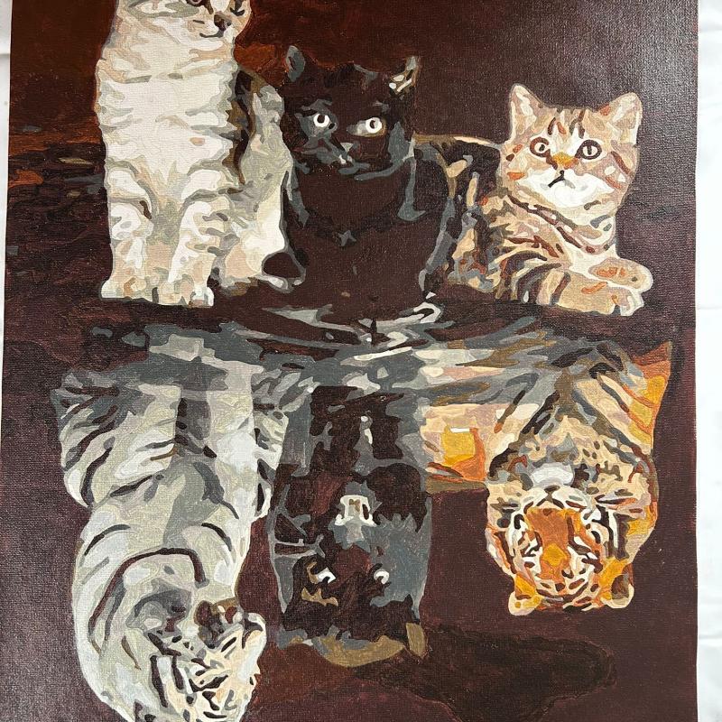 Cat reflection