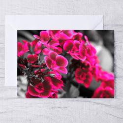 A5 Pink Flower Blank Greeting Card with envelope