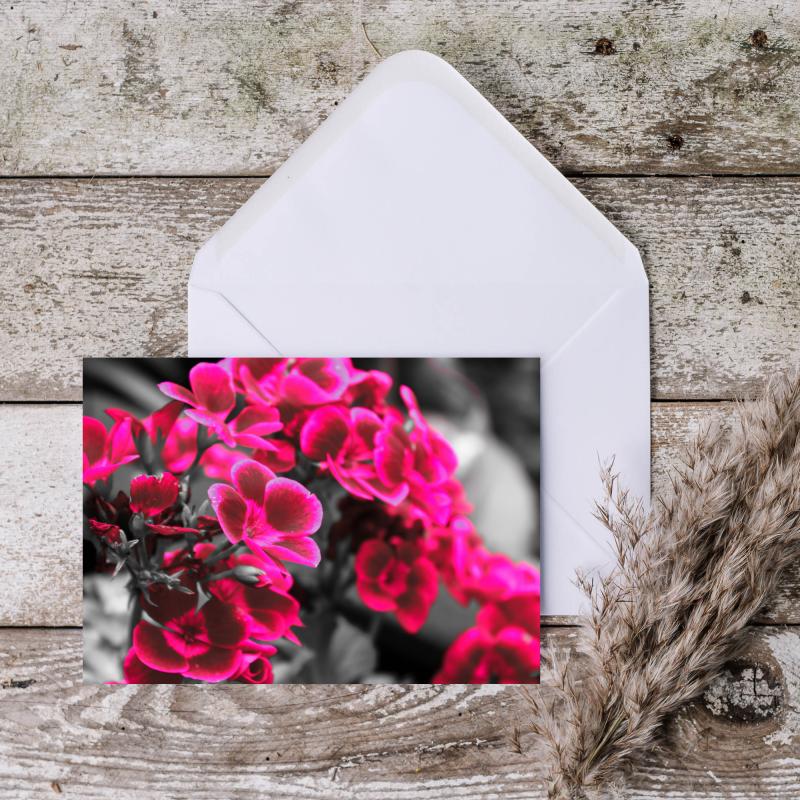 A5 Pink Flowers Blank Greeting Cards with envelopes
