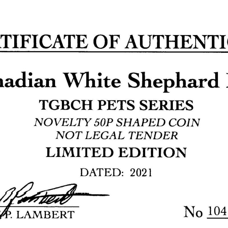 RARE ORIGINAL CANADIAN WHITE SHEPHARD DOG 2021 WITH COA OF 1000