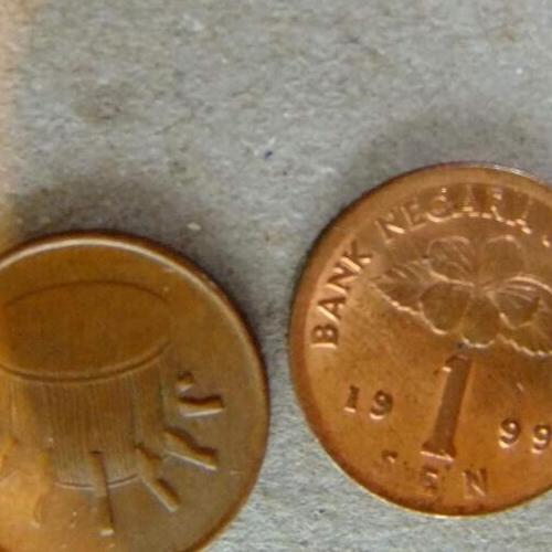 Malaysia 1 Sen 2007 Malaysian Coin Hibiscus Flower Circulated Condition