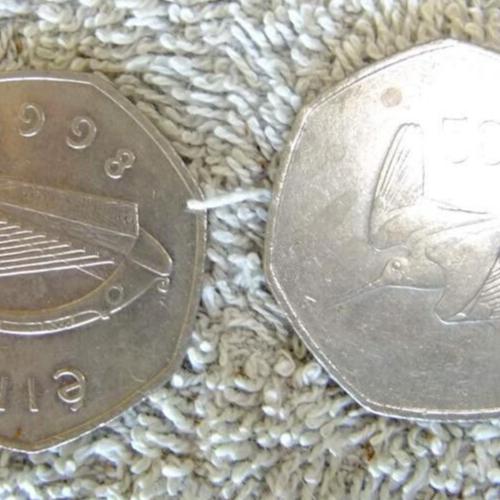 1977 Ireland Harp 50p Irish Woodcock Bird Fifty Pence Coin Circulated Condition