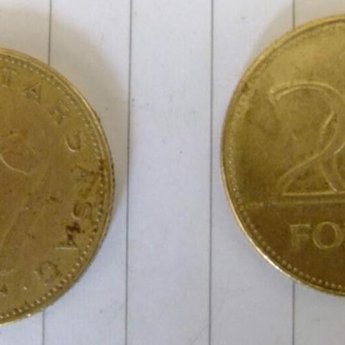 Hungary 1994 Hungarian 20 Forint Circulated Coin