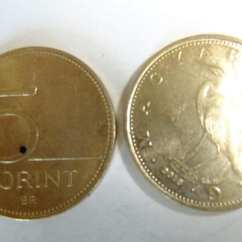 2018 Hungary 5 Forint Hungarian Coin Five Forint Crane Bird Circulated Condition