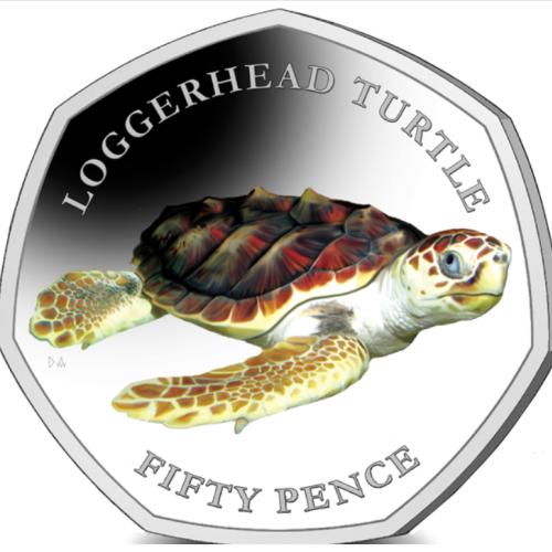 BIOT 2019 Loggerhead Turtle 50p Coloured Cupro Nickel Diamond Finish