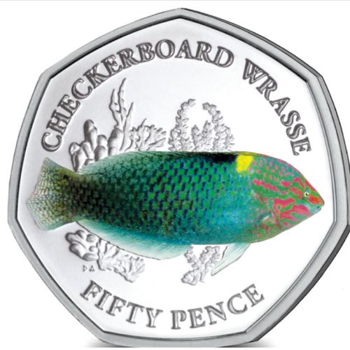 BIOT 2021 Checkerboard Wrasse 50p Coloured Cupro Nickel Diamond Finish Unc
