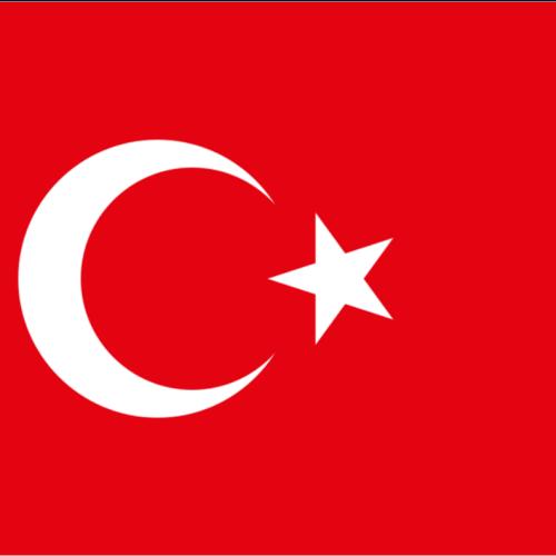 2003 Turkey 25 Lira Turkish Coin Circulated Condition