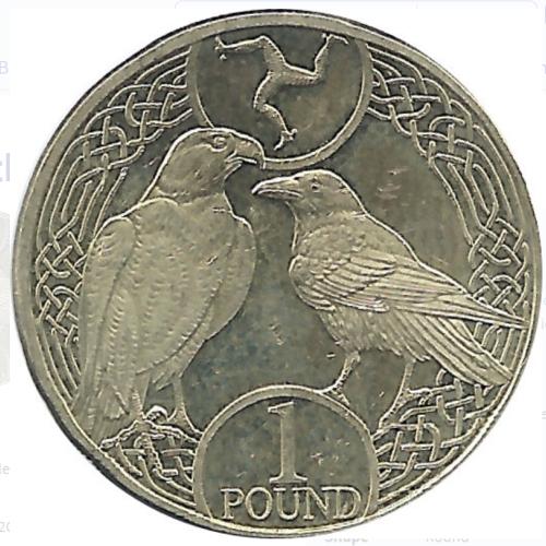 2018 Isle Of Man One Pound Birds Falcon And Raven £1 Circulated Condition