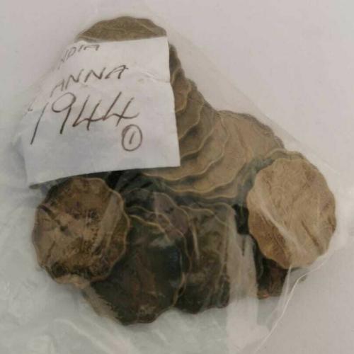 India 1 Anna 1944 Circulated Condition VAT Receipt Given