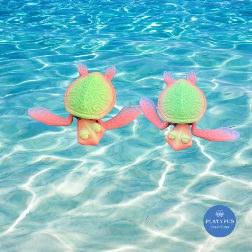 Multicoloured Tattooed Turtle